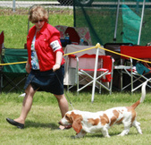 Enlarge photo 60