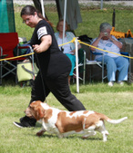 Enlarge photo 201