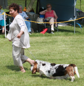 Enlarge photo 179