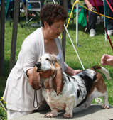 Enlarge photo 215
