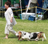 Enlarge photo 142