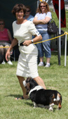 Enlarge photo 224
