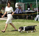 Enlarge photo 225