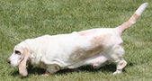 Enlarge photo 226