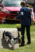 Enlarge photo 229