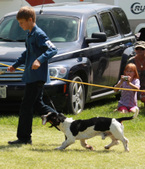 Enlarge photo 187