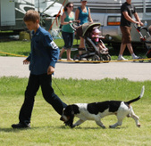Enlarge photo 188