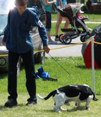Enlarge photo 157