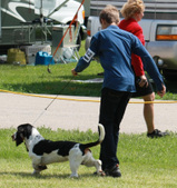 Enlarge photo 158