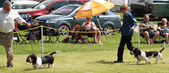 Enlarge photo 195