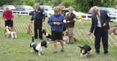 Enlarge photo 244