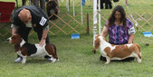 Enlarge photo 248