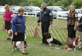 Enlarge photo 249