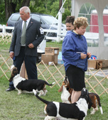 Enlarge photo 251
