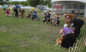 Enlarge photo 254