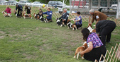Enlarge photo 256