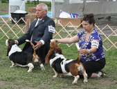 Enlarge photo 259