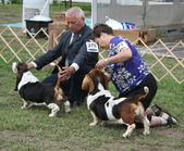 Enlarge photo 261