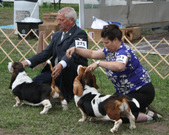 Enlarge photo 263