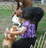 Enlarge photo 267