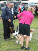 Enlarge photo 276