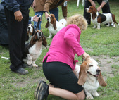 Enlarge photo 279