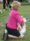 Enlarge photo 280