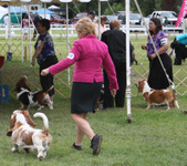 Enlarge photo 284