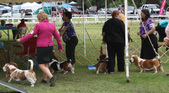 Enlarge photo 285