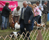 Enlarge photo 287