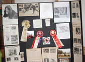 Enlarge photo 302