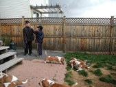 Enlarge photo 93