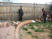 Enlarge photo 94