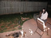 Enlarge photo 112