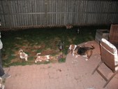 Enlarge photo 113