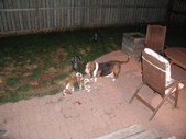 Enlarge photo 114