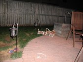 Enlarge photo 119