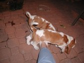 Enlarge photo 121