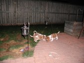 Enlarge photo 123