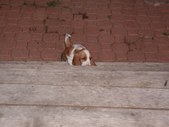 Enlarge photo 125