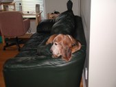 Enlarge photo 2