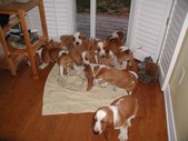 Enlarge photo 6