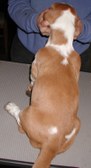 Enlarge photo 37