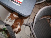 Enlarge photo 12