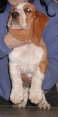 Enlarge photo 57