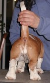 Enlarge photo 73
