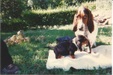 Enlarge photo 21