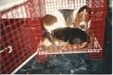 Enlarge photo 18