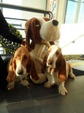Vina and Hermione go to Hush Puppies