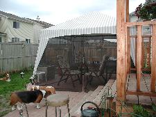 Enlarge photo 11